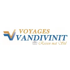 Vandivinit